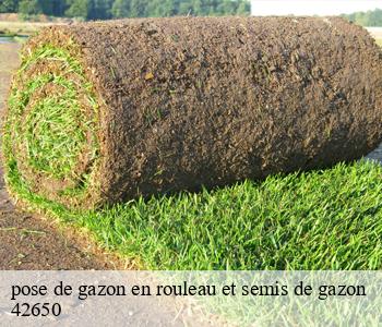 pose de gazon en rouleau et semis de gazon 42650