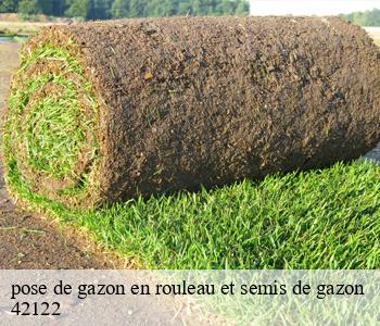 pose de gazon en rouleau et semis de gazon 42122