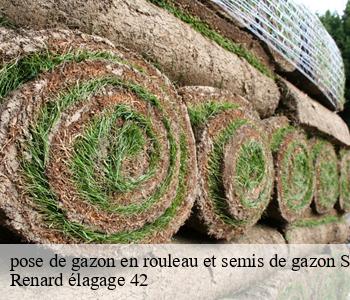 pose de gazon en rouleau et semis de gazon saint-marcel-d-urfe-42430 Renard élagage 42