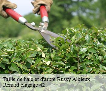 Taille de haie et d'arbre bussy-albieux-42260 Renard élagage 42
