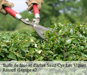 Taille de haie et d'arbre saint-cyr-les-vignes-42210 Renard élagage 42