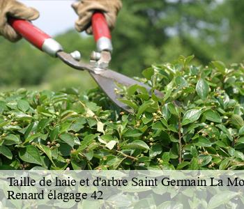 Taille de haie et d'arbre saint-germain-la-montagne-42670 Renard élagage 42