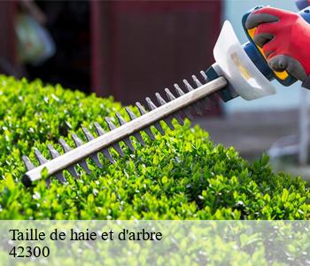 Taille de haie et d'arbre 42300