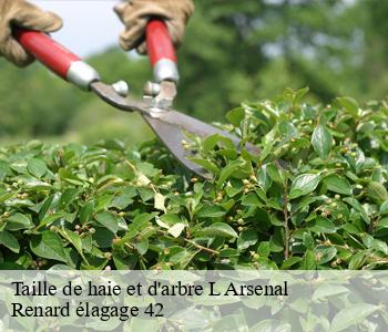 Taille de haie et d'arbre l-arsenal-42300 Renard élagage 42
