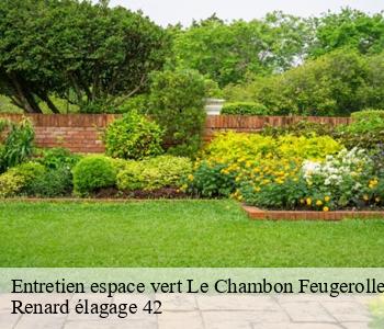 Entretien espace vert le-chambon-feugerolles-42500 Renard élagage 42