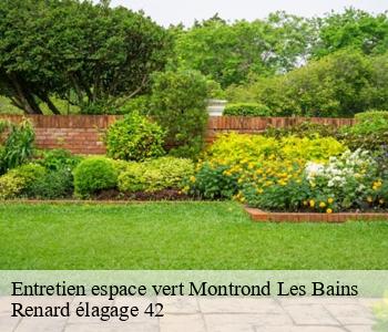Entretien espace vert montrond-les-bains-42210 Renard élagage 42