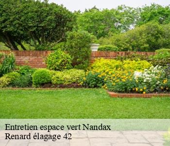 Entretien espace vert nandax-42720 Renard élagage 42