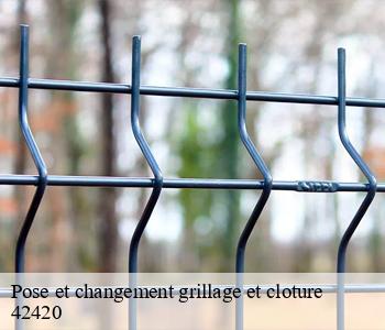 Pose et changement grillage et cloture 42420