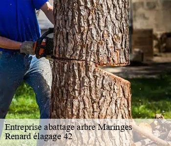 Entreprise abattage arbre maringes-42140 Renard élagage 42