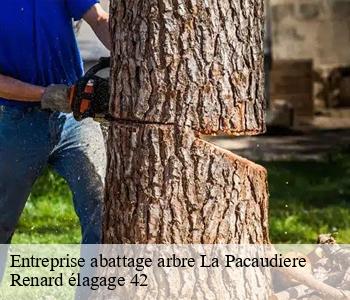 Entreprise abattage arbre la-pacaudiere-42310 Renard élagage 42
