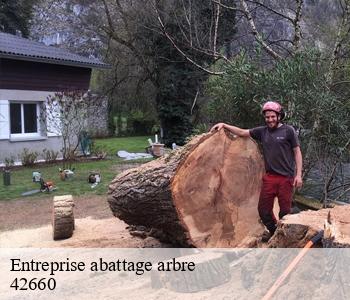 Entreprise abattage arbre 42660