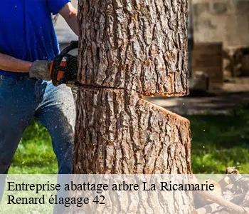 Entreprise abattage arbre la-ricamarie-42150 Renard élagage 42