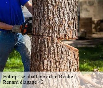 Entreprise abattage arbre roche-42600 Renard élagage 42