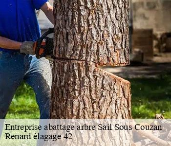 Entreprise abattage arbre sail-sous-couzan-42890 Renard élagage 42