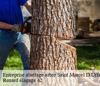 Entreprise abattage arbre saint-marcel-d-urfe-42430 Renard élagage 42