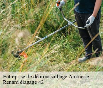 Entreprise de débroussaillage ambierle-42820 Renard élagage 42