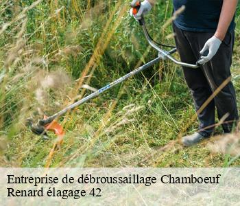 Entreprise de débroussaillage chamboeuf-42330 Renard élagage 42
