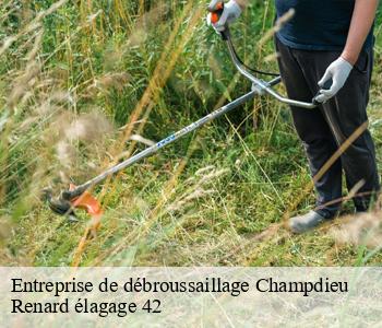 Entreprise de débroussaillage champdieu-42600 Renard élagage 42