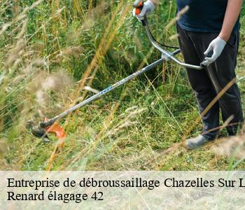 Entreprise de débroussaillage chazelles-sur-lyon-42140 Renard élagage 42