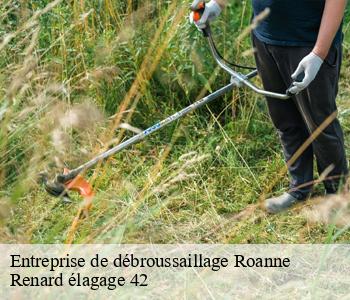 Entreprise de débroussaillage roanne-42300 Renard élagage 42