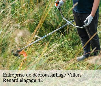 Entreprise de débroussaillage  villers-42460 Renard élagage 42