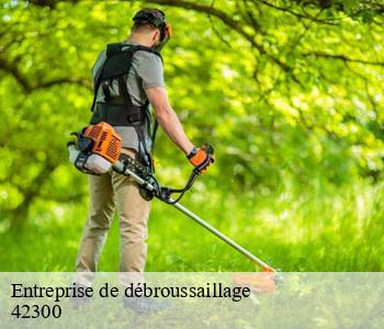 Entreprise de débroussaillage 42300