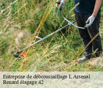 Entreprise de débroussaillage l-arsenal-42300 Renard élagage 42