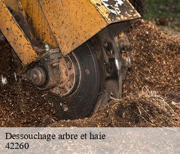 Dessouchage arbre et haie 42260