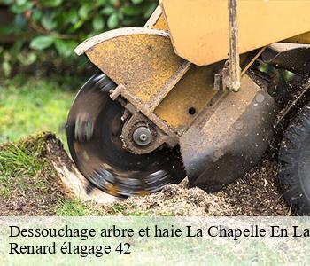 Dessouchage arbre et haie la-chapelle-en-lafaye-42380 Renard élagage 42