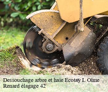 Dessouchage arbre et haie ecotay-l-olme-42600 Renard élagage 42