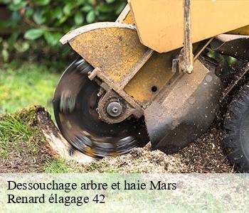 Dessouchage arbre et haie mars-42750 Renard élagage 42