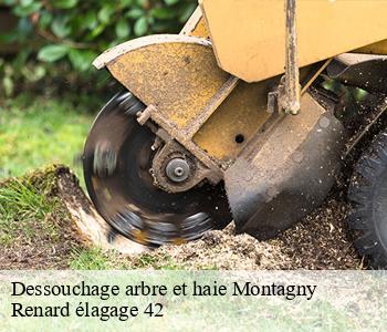 Dessouchage arbre et haie montagny-42840 Renard élagage 42