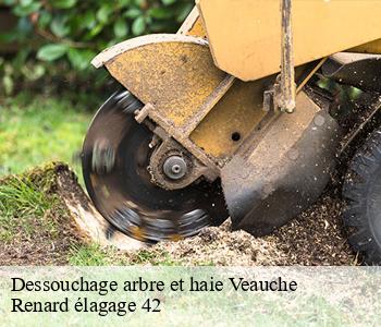 Dessouchage arbre et haie veauche-42340 Renard élagage 42