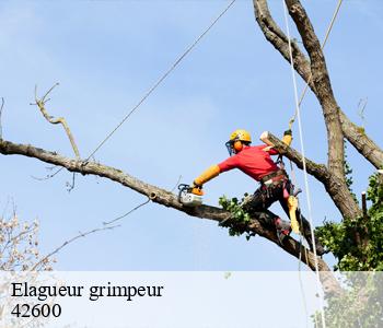 Elagueur grimpeur  42600