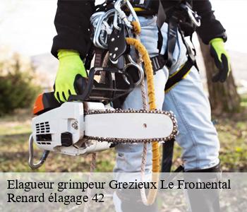 Elagueur grimpeur  grezieux-le-fromental-42600 Renard élagage 42